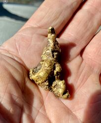 GOLD BALLARAT MINELAB FINDS 2