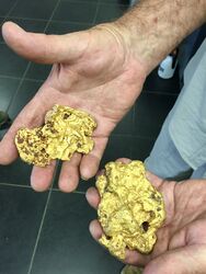 GOLD BALLARAT MINELAB FINDS 2