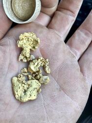 GOLD BALLARAT MINELAB GOLD NUGGET FINDS 2