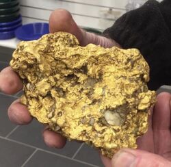 GOLD BALLARAT MINELAB GOLD NUGGET FINDS 1